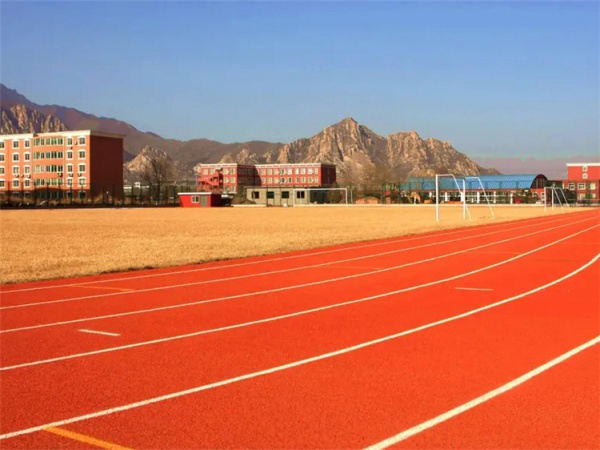 汉中市混合型跑道学校塑胶跑道 - 哪里好